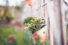 Welche Möglichkeiten gibt es, einen Gartenzaun zu dekorieren?