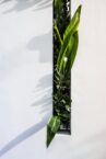 Welche Zäune eignen sich für eine moderne Gartengestaltung?