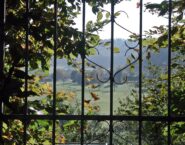 Welche Zaunlösungen gibt es für einen romantischen Gartenstil?