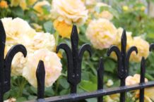 Wie kann ich meinen Gartenzaun vor Rost schützen?